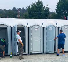 Best Portable Toilet Rental for Emergency Services  in Penn State Erie, PA